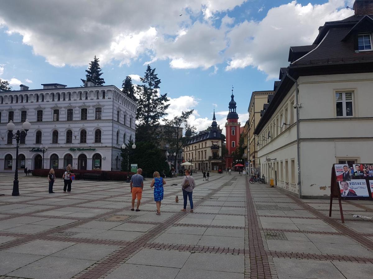 Apartment Goscinne Uzdrovisco Cieplice *