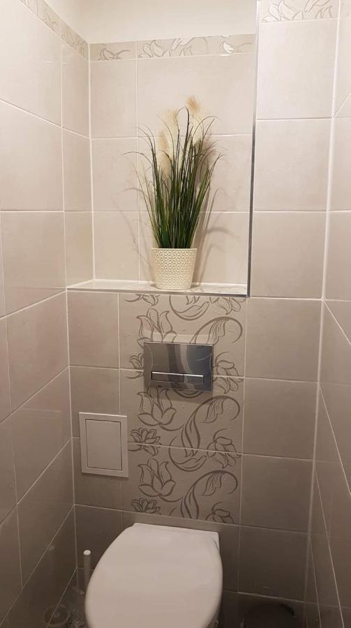 Goscinne Uzdrovisco Cieplice Apartment Jelenia Gora